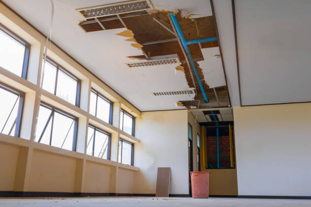 Best Flood restoration services  in Weldon, CA