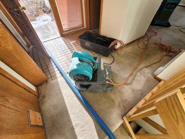 Best Ceiling water damage repair  in Weldon, CA