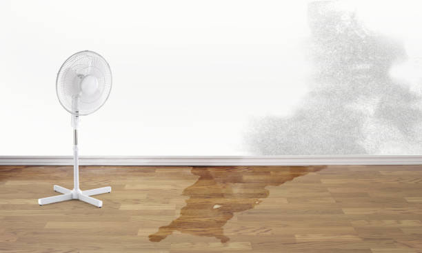 Best Water damage restoration process  in Weldon, CA