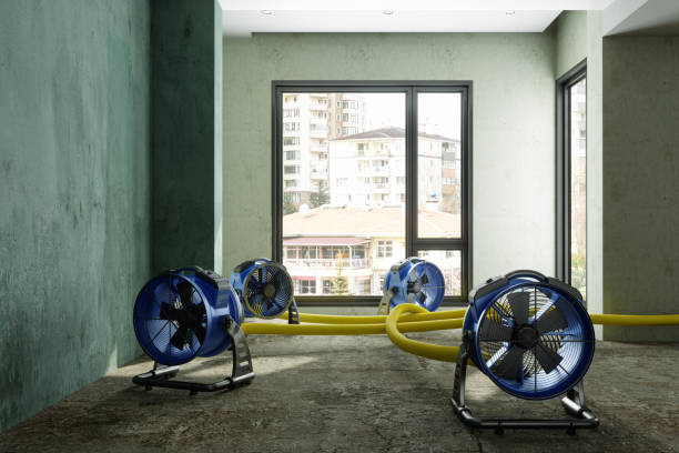  Weldon, CA Water damage restoration Pros