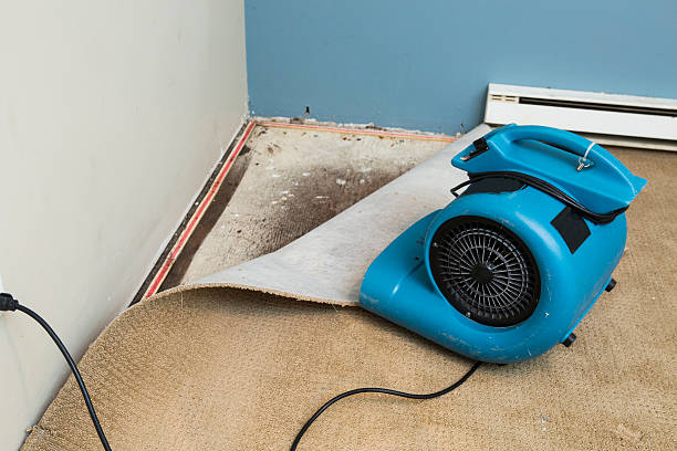 Best 24/7 water damage repair  in Weldon, CA